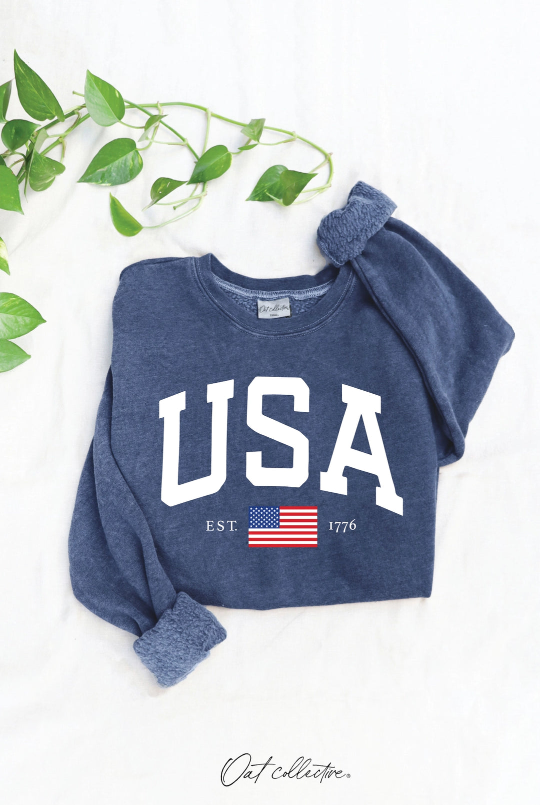 Scout USA Est.1776 Mineral Graphic Sweatshirt