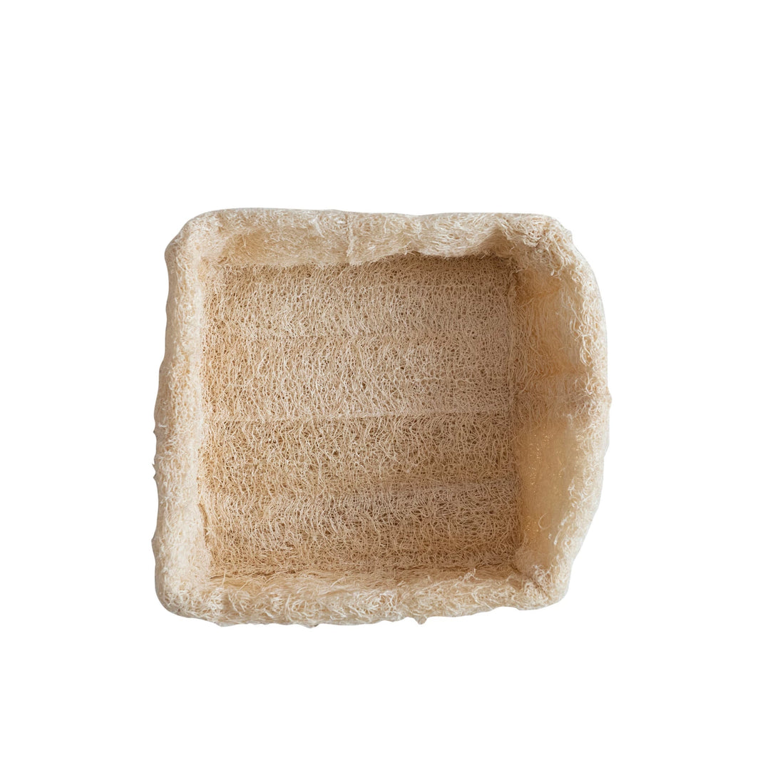 Loofah Container