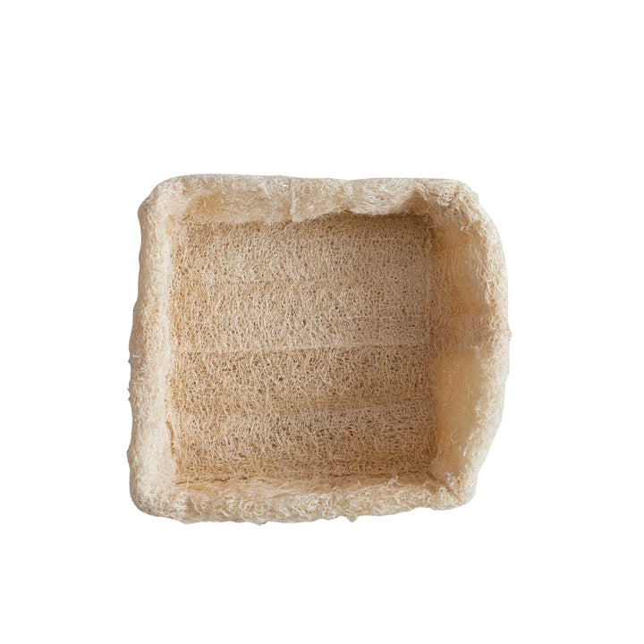Loofah Container