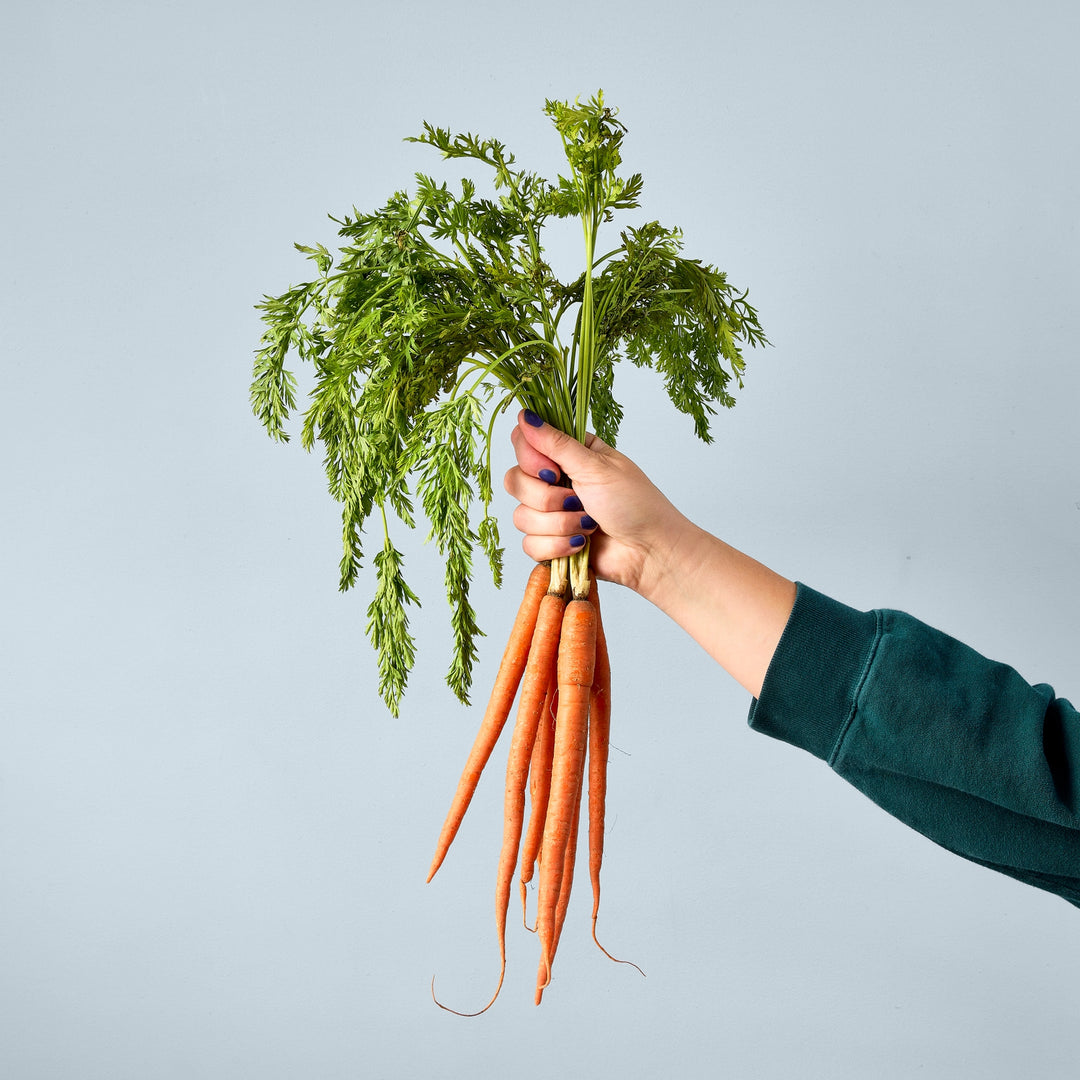 Garden Seed Pop