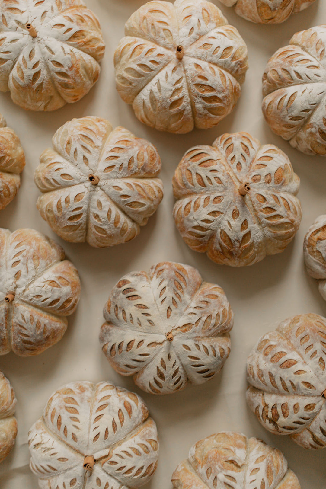 Fall Sourdough Pumpkin Workshop