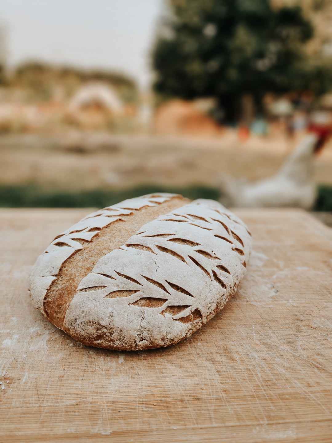 Gluten Free Sourdough Workshop