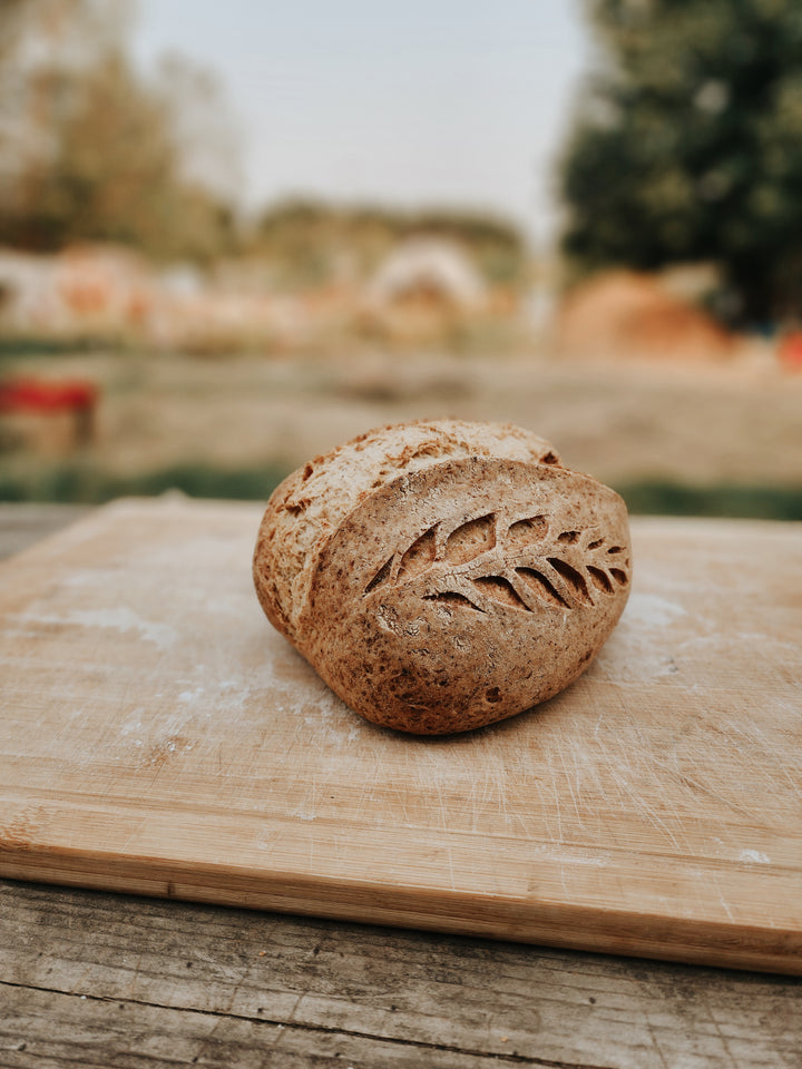 Gluten Free Sourdough Workshop