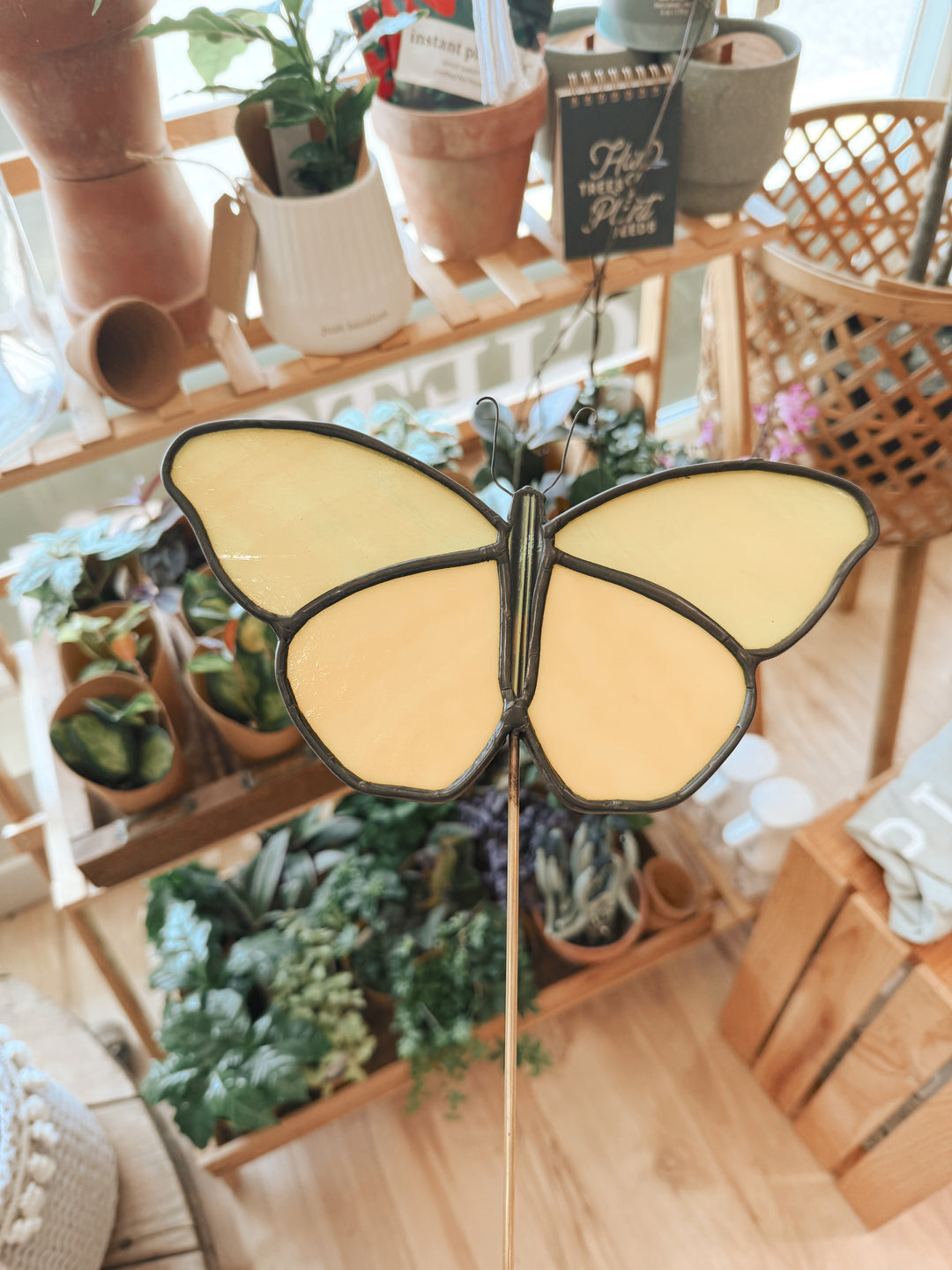 Stained Glass Butterfly Workshop