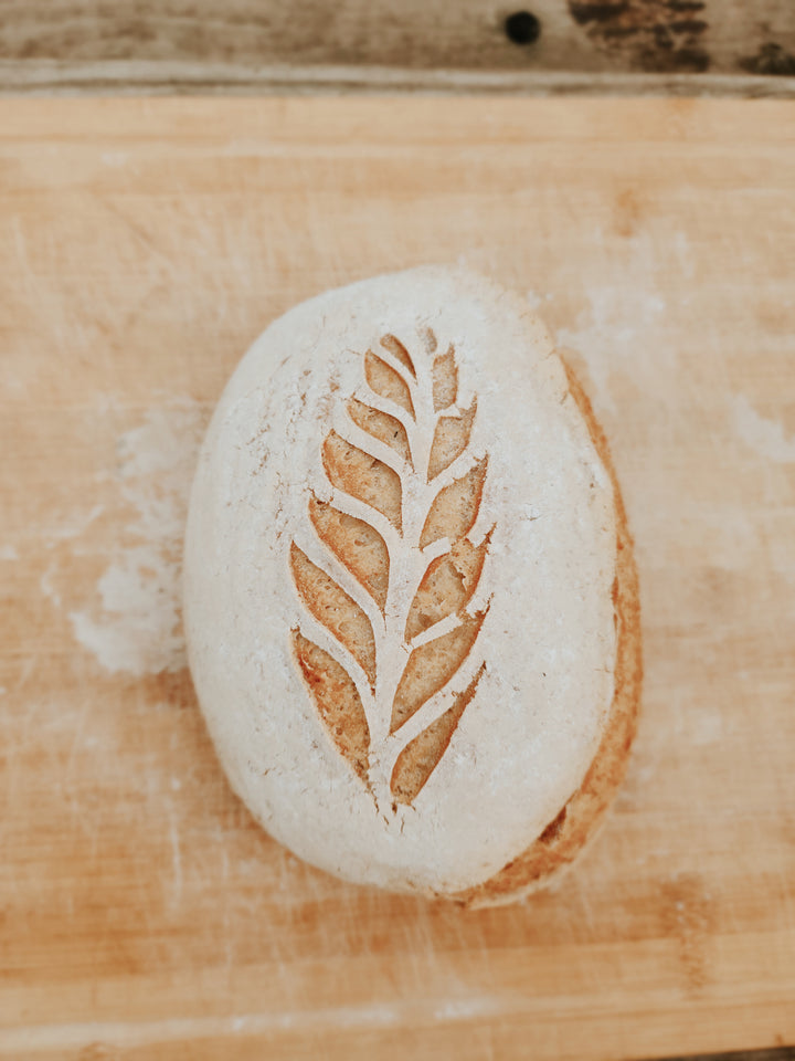Gluten Free Sourdough Workshop