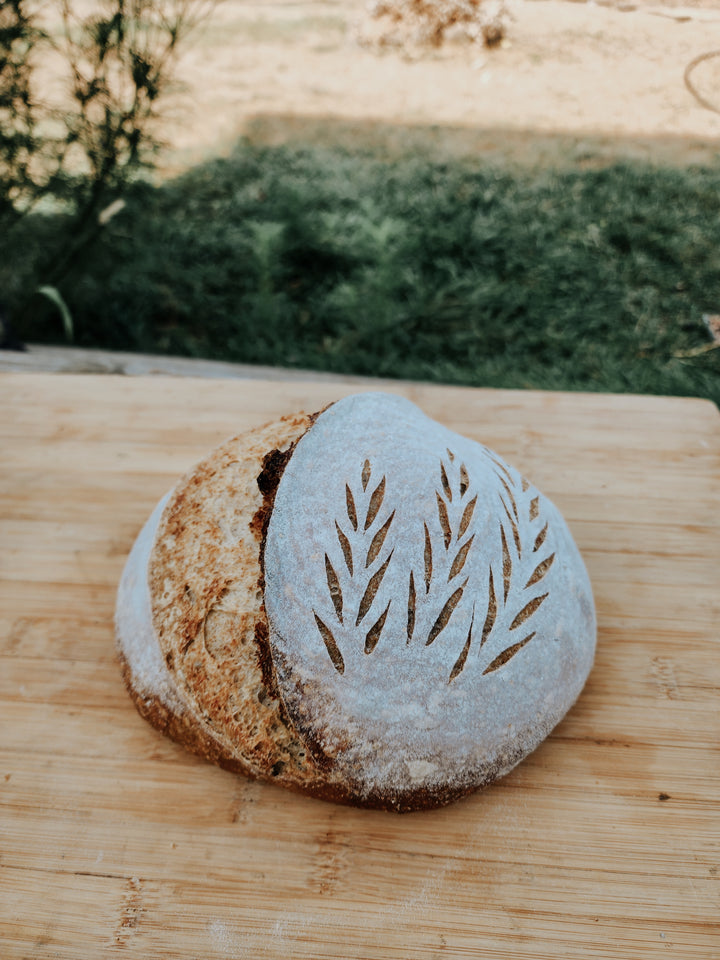Gluten Free Sourdough Workshop