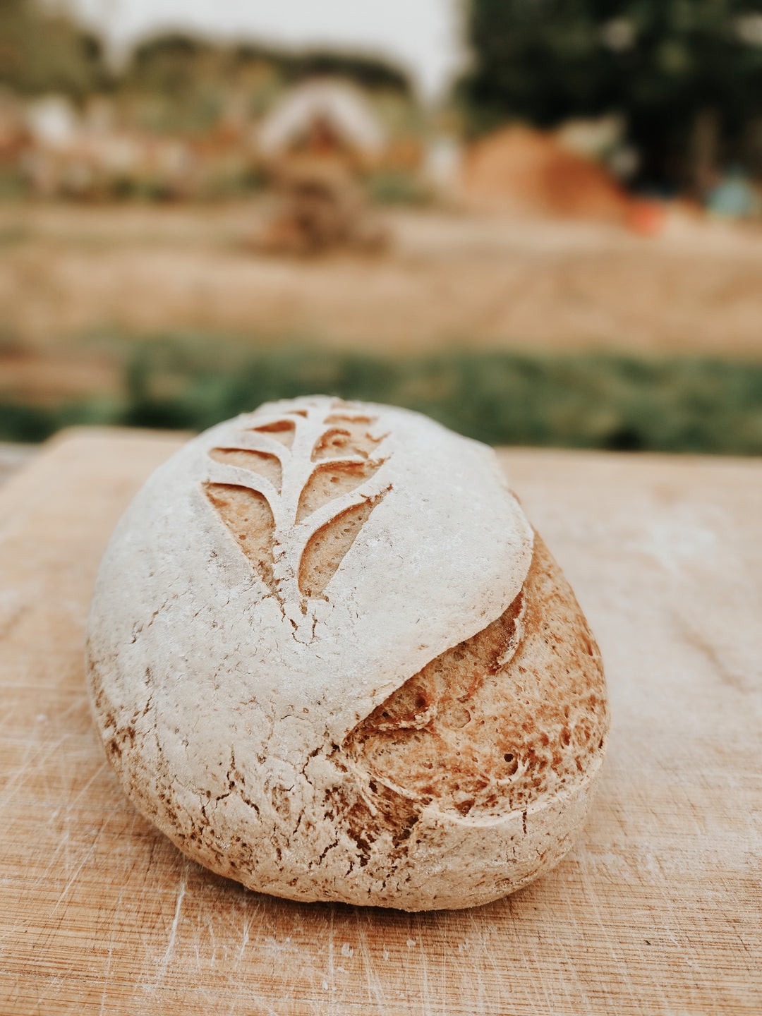 Gluten Free Sourdough Workshop
