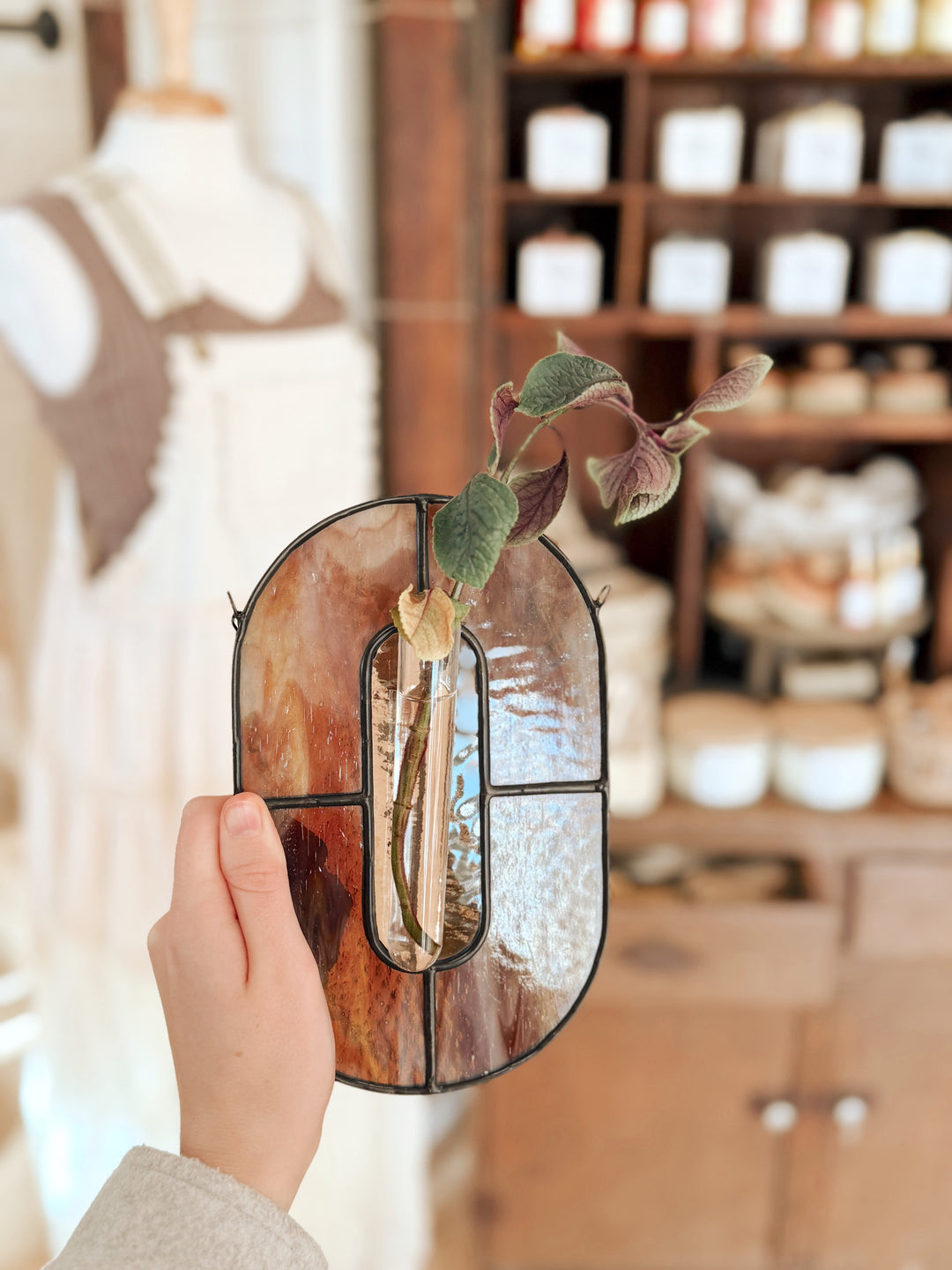 Stained Glass Propagation Suncatcher Workshop