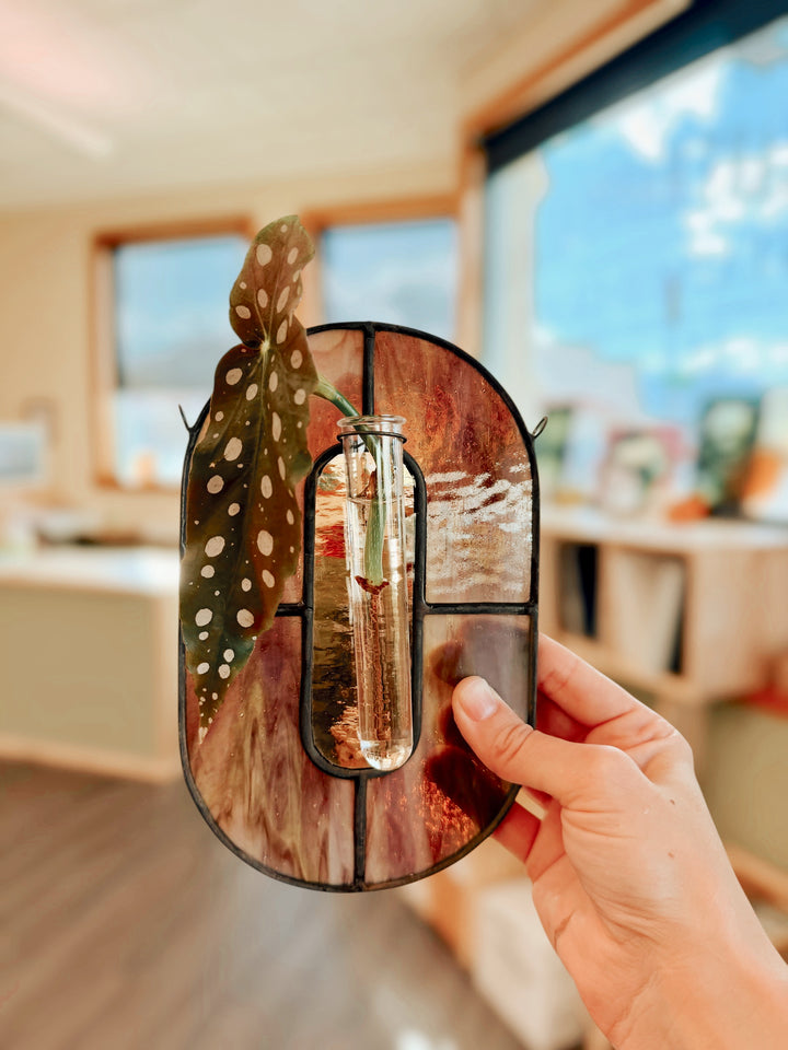 Stained Glass Propagation Suncatcher Workshop