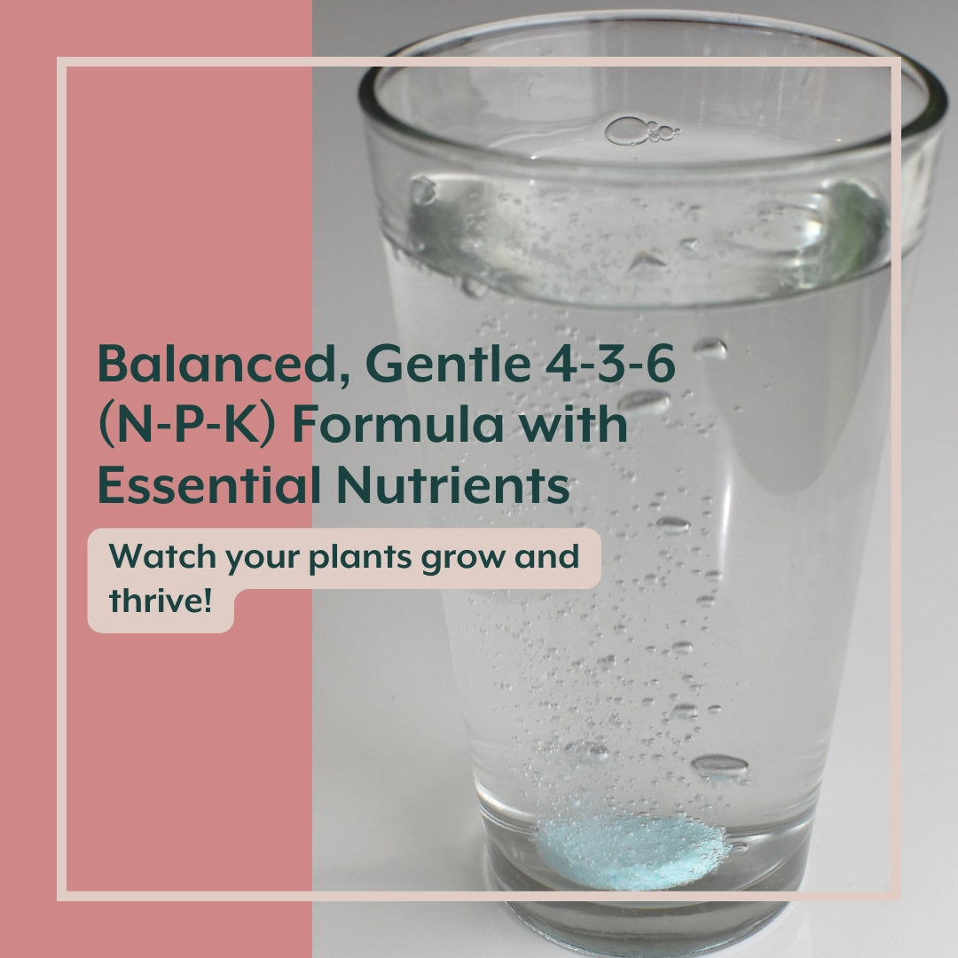 Soluble Houseplant Fertilizer